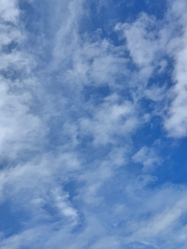 豊島区での外壁塗装工事